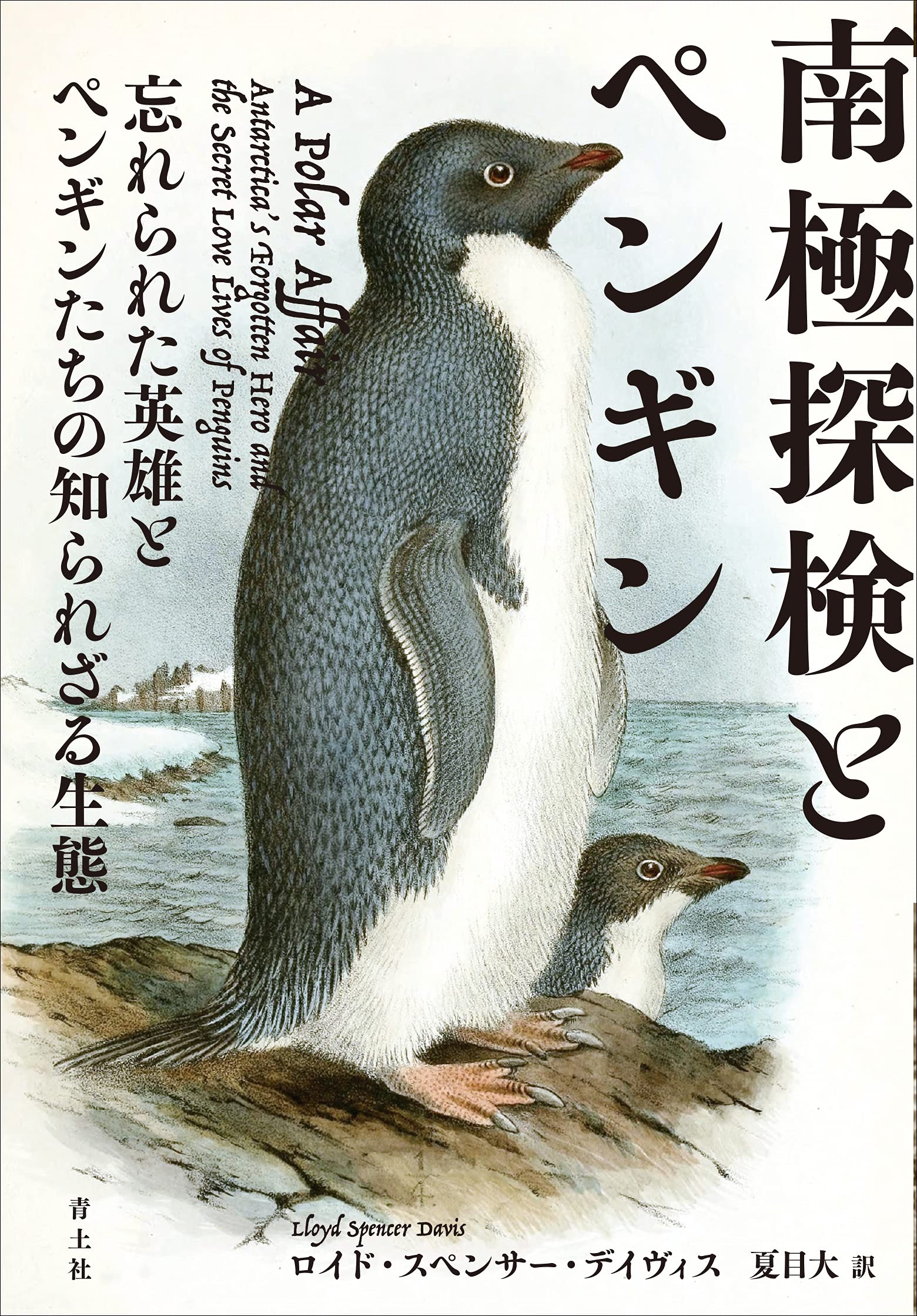 南極探検とペンギン